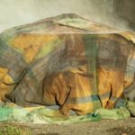 Behälter mit Sägespäne